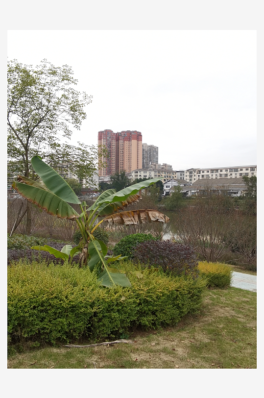 城市公园悠闲生活环境-众图网