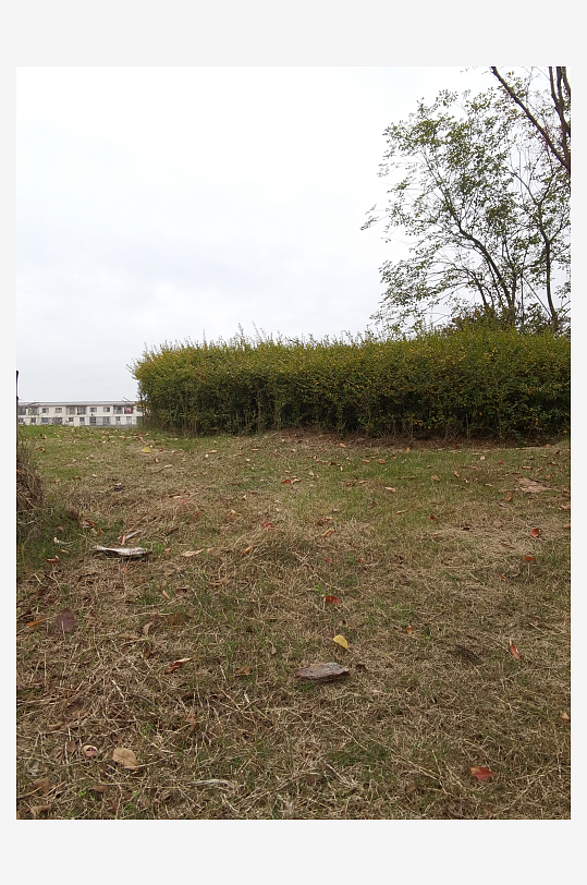 休闲公园生活环境-众图网