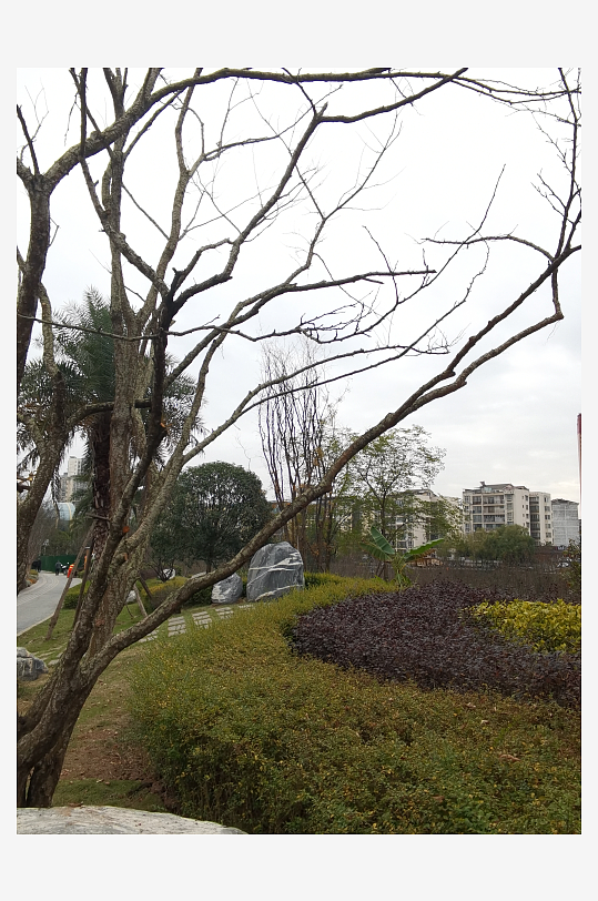 休闲公园生活环境-众图网