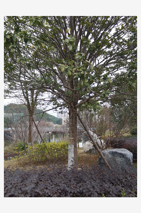 休闲公园生活环境-众图网