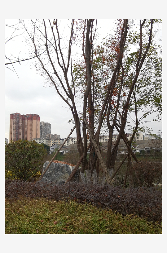 生活公园休闲环境-众图网