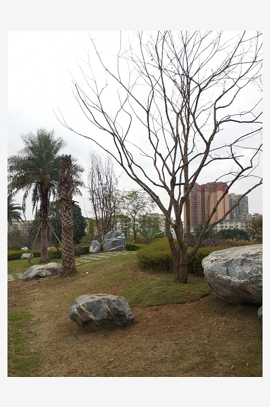 生活公园休闲环境-众图网