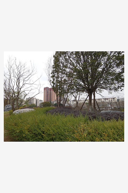 生活公园休闲环境-众图网