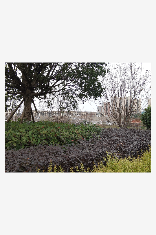 生活公园休闲环境-众图网