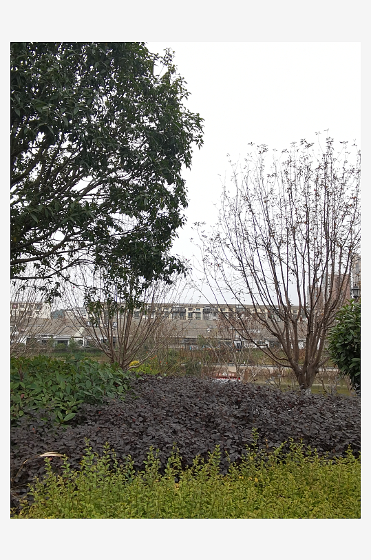 生活公园休闲环境-众图网