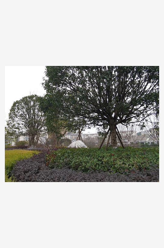 生活公园休闲环境-众图网