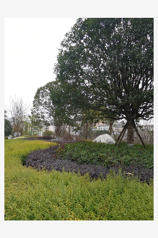 生活公园休闲环境-众图网