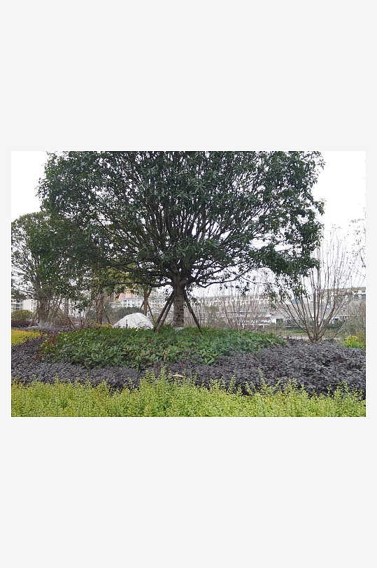 生活公园舒适环境-众图网