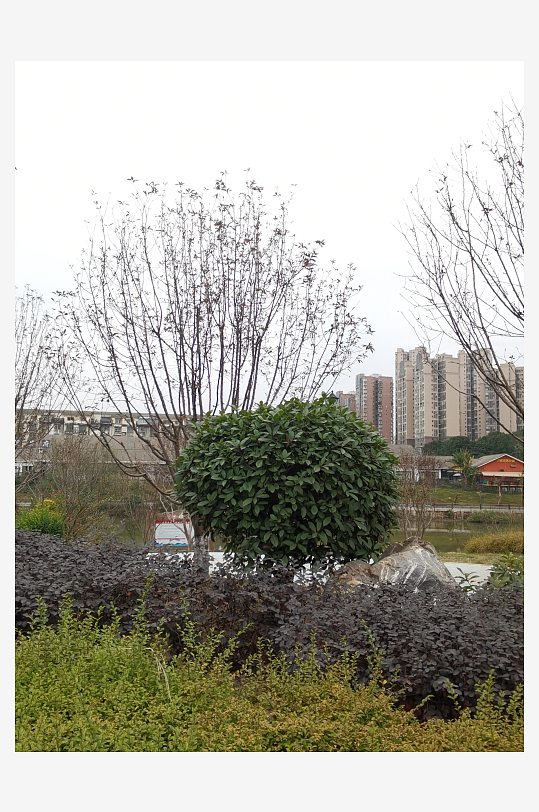 生活公园舒适环境-众图网