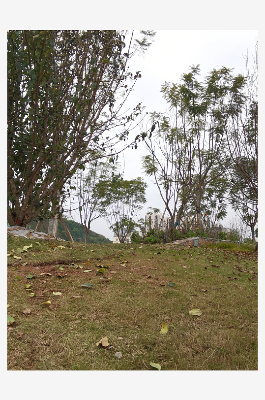 生活公园舒适环境-众图网