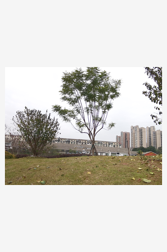 生活公园舒适环境-众图网