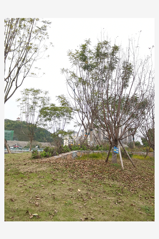 生活公园舒适环境-众图网