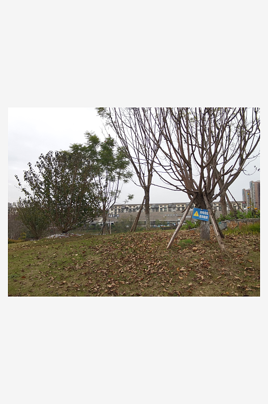 生活公园舒适环境-众图网