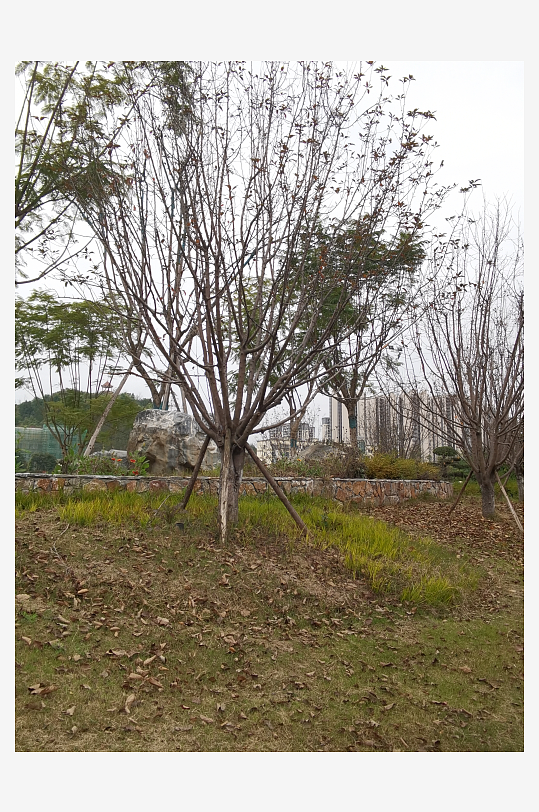 生活公园舒适环境-众图网