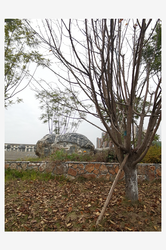 生活公园舒适环境-众图网