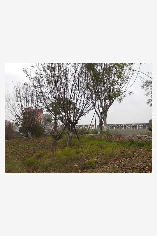 生活公园舒适环境-众图网