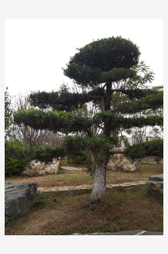 休闲公园舒适环境-众图网