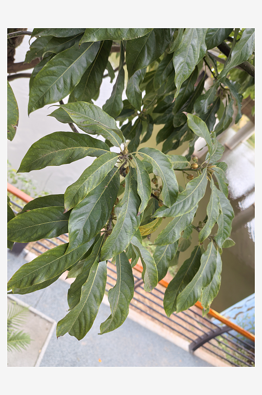 休闲城市生活环境-众图网