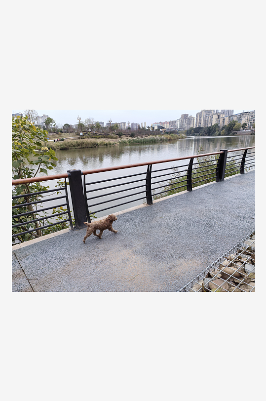 宜居城市悠闲生活环境-众图网