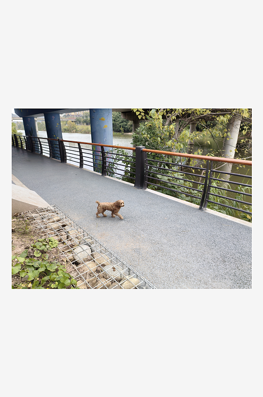 宜居城市悠闲生活环境-众图网