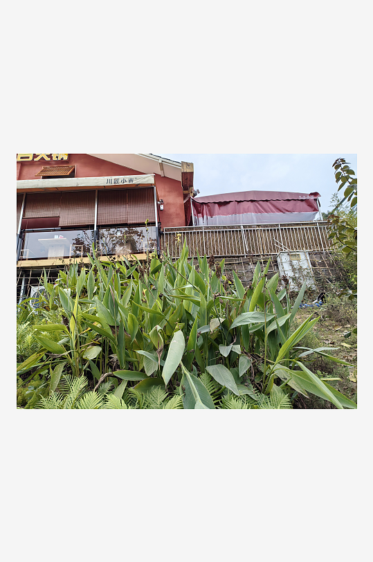 宜居城市悠闲生活环境-众图网