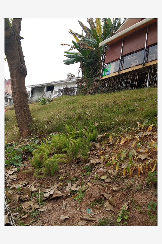 宜居城市悠闲生活环境-众图网