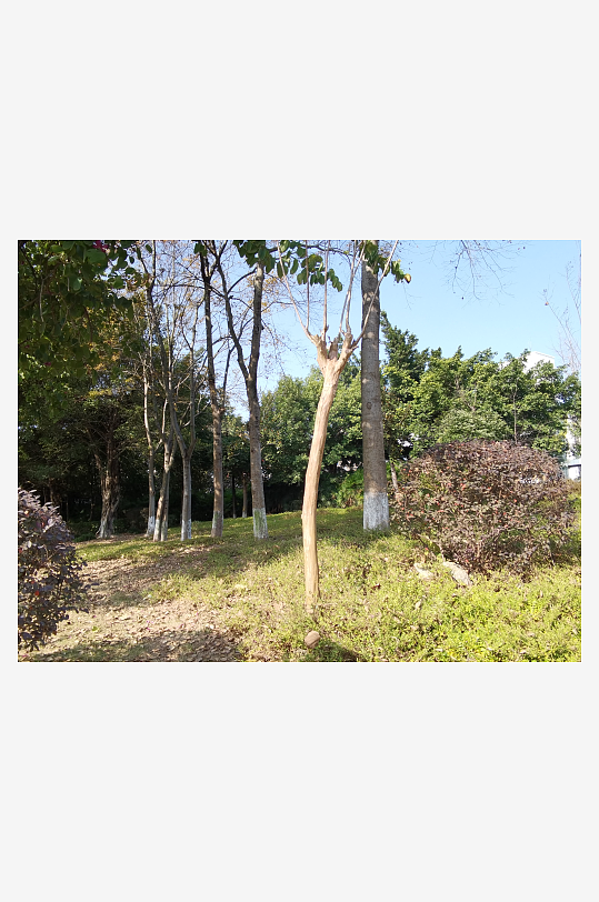 冬日户外城市公园环境-众图网