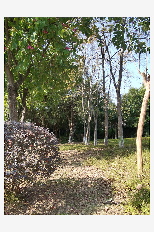 冬日户外城市公园环境-众图网