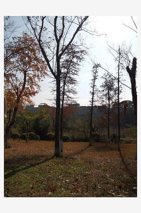 冬日户外城市公园环境-众图网