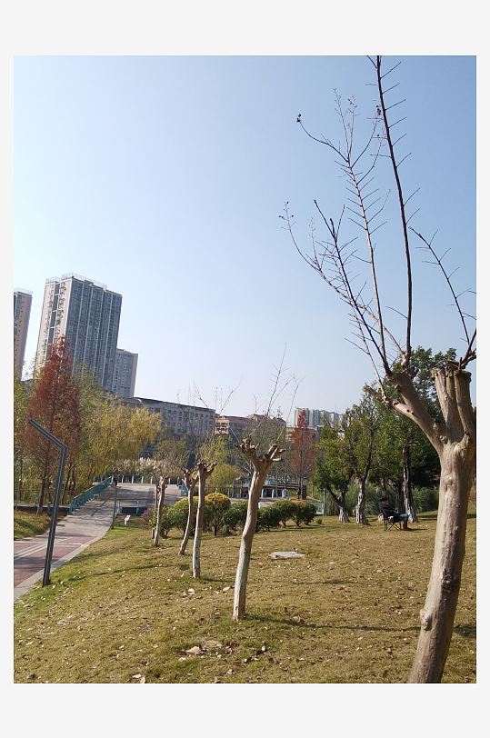 冬日户外城市公园环境-众图网