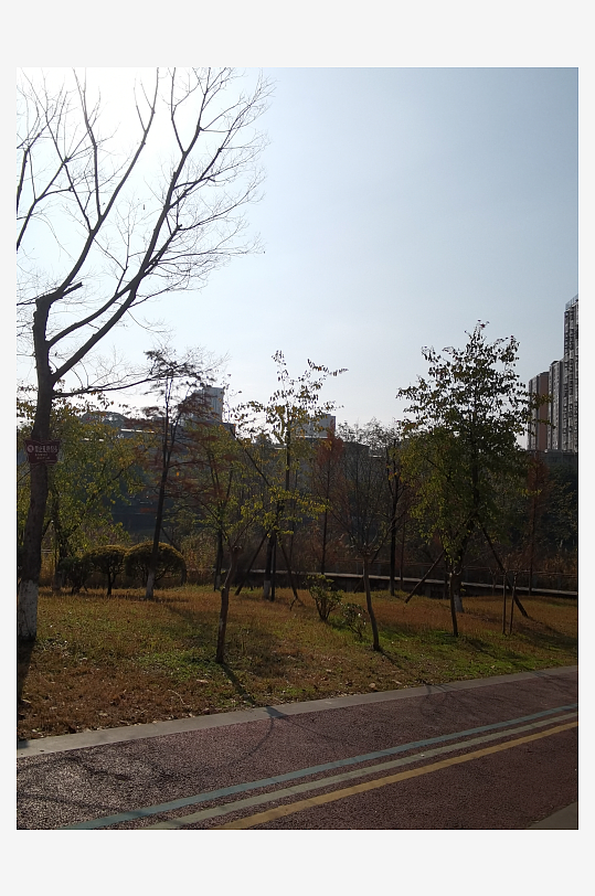 冬日户外城市公园环境-众图网