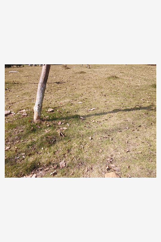 冬日户外城市公园环境-众图网