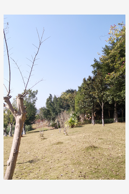 冬日户外城市公园环境-众图网