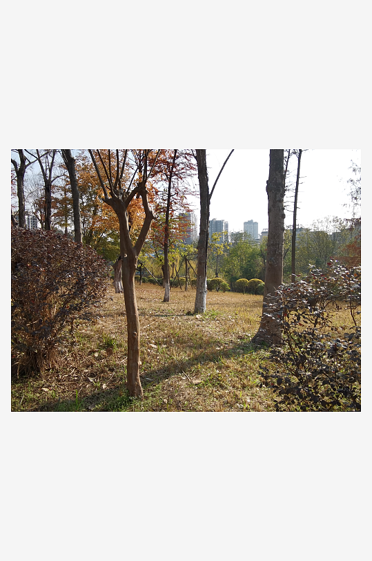 冬日户外城市公园环境-众图网