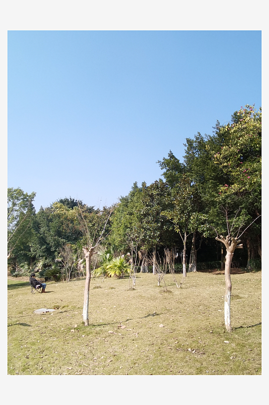 冬日户外城市公园环境-众图网