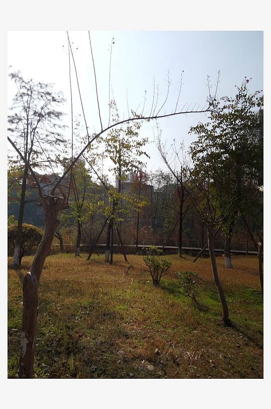 冬日户外城市公园环境-众图网