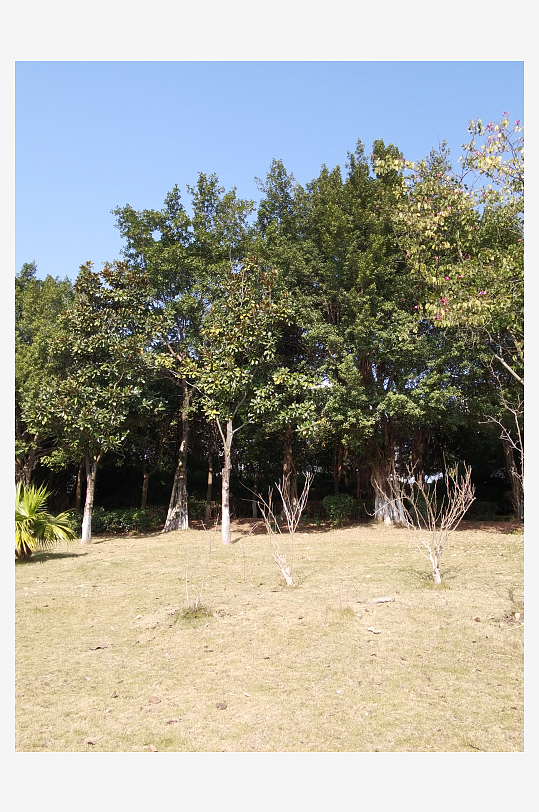 冬日户外城市公园环境-众图网