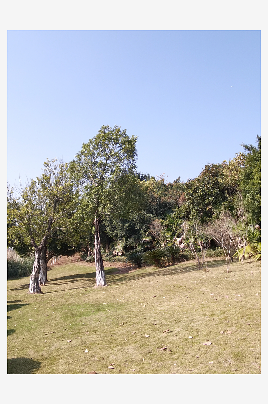 冬日户外城市公园环境-众图网