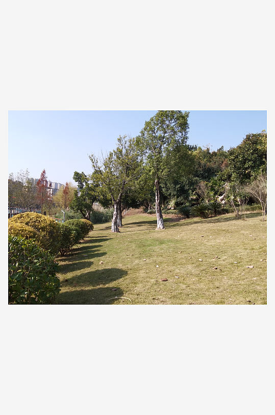 城市户外公园环境-众图网