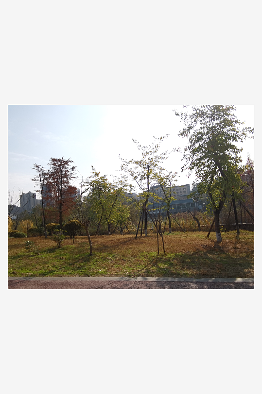 城市户外公园环境-众图网