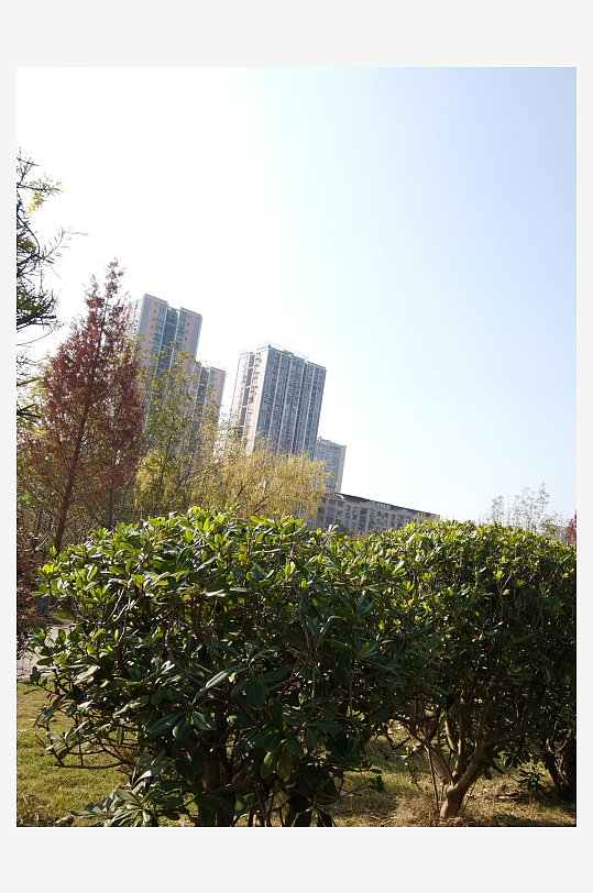 城市户外公园环境-众图网