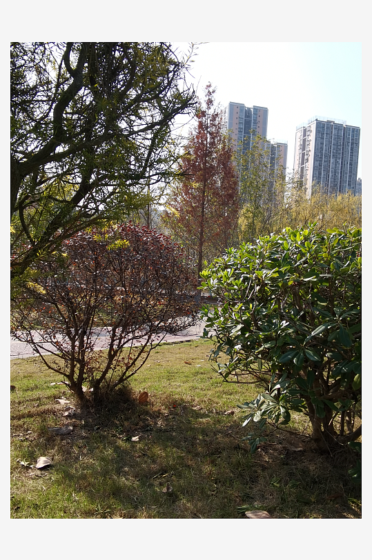 城市户外公园环境-众图网