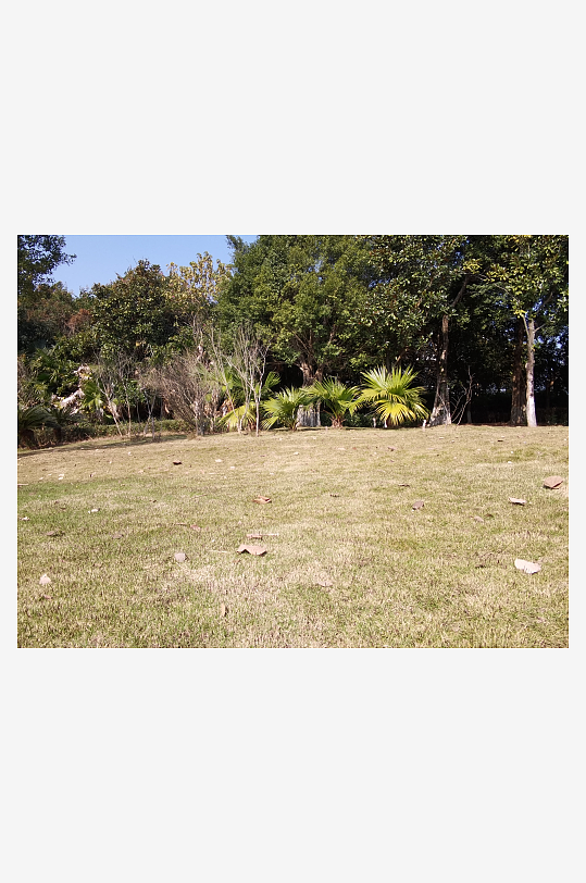 城市户外公园环境-众图网