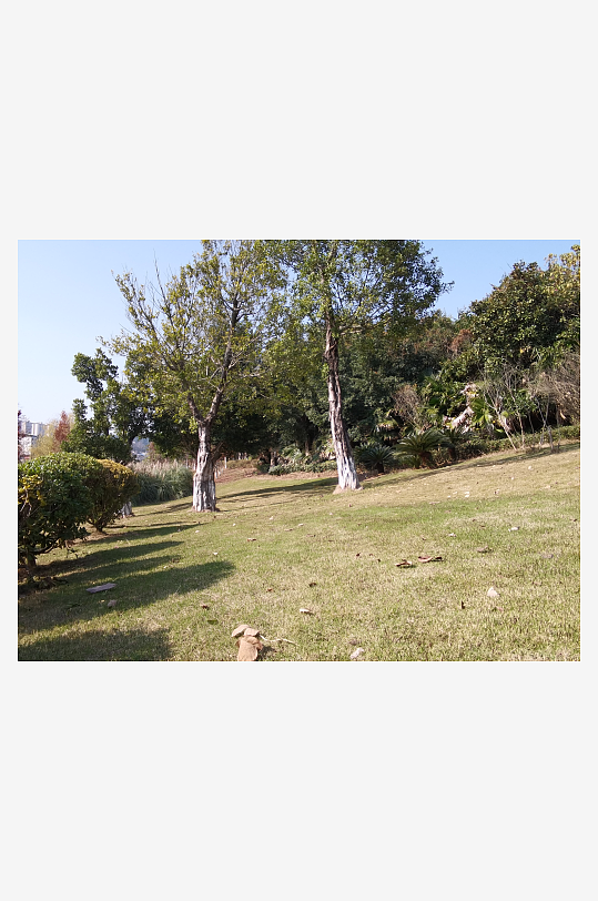 城市户外公园环境-众图网