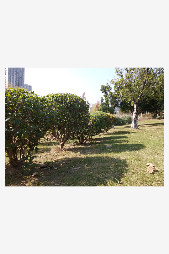 城市户外公园环境-众图网