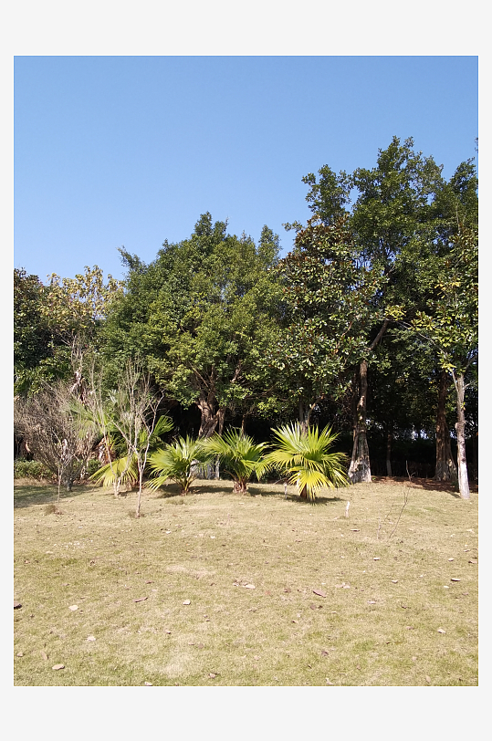 城市户外公园环境-众图网