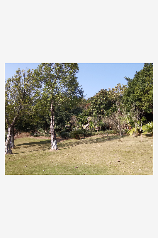 城市户外公园环境-众图网