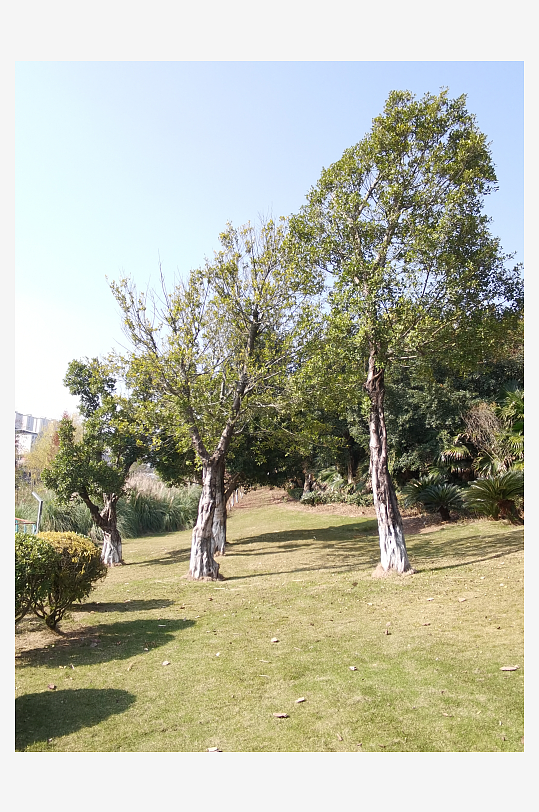 城市户外公园环境-众图网