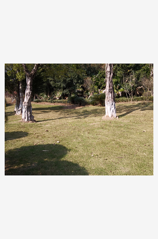 城市户外公园环境-众图网