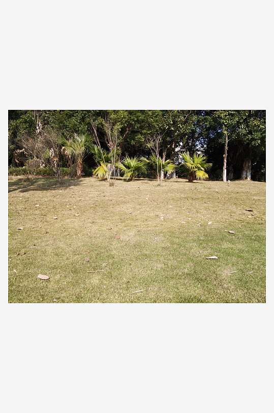 城市户外公园环境-众图网